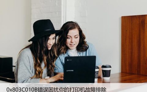 0x803C010B错误困扰你的打印机故障排除？如何修复