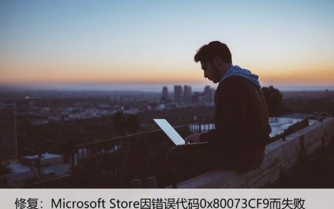 修复：Microsoft Store因错误代码0x80073CF9而失败