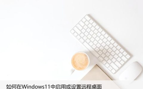 如何在Windows11中启用或设置远程桌面