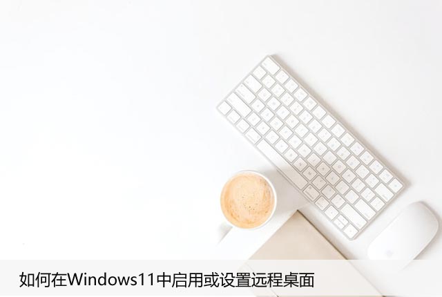 如何在Windows11中启用或设置远程桌面