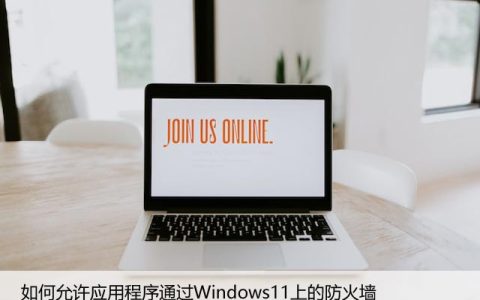 如何允许应用程序通过Windows11上的防火墙