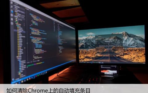 如何清除Chrome上的自动填充条目