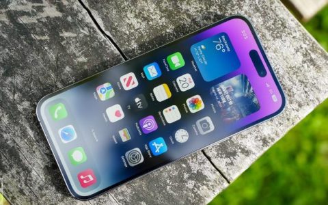 iPhone上如何进行反向图片搜索？教你简单操作