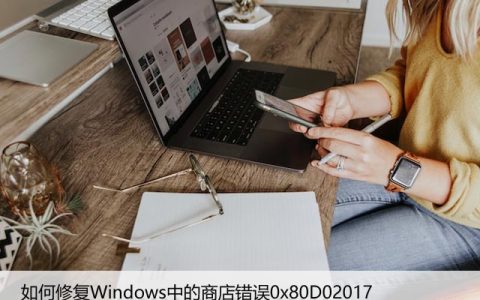 如何修复Windows中的商店错误0x80D02017