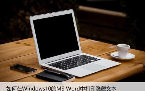 如何在Windows10的MS Word中打印隐藏文本