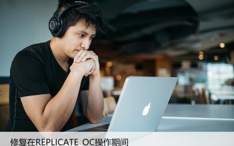 修复在REPLICATE_OC操作期间，Win系统SAFE_OS中失败