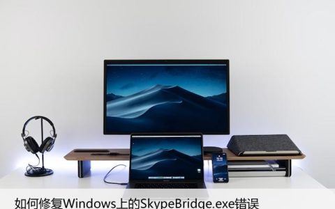 如何修复Windows上的SkypeBridge.exe错误