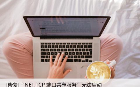 [修复]“NET.TCP 端口共享服务”无法启动