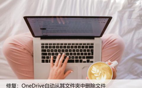 修复：OneDrive自动从其文件夹中删除文件