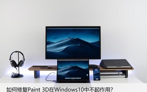 如何修复Paint 3D在Windows10中不起作用？