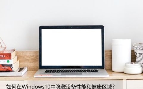 如何在Windows10中隐藏设备性能和健康区域？