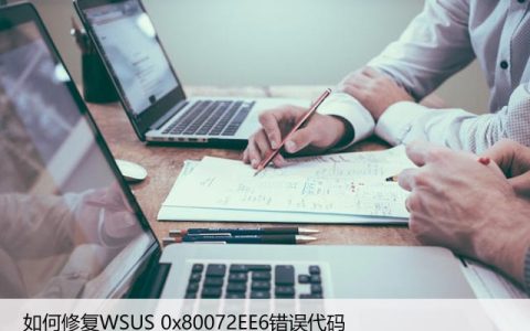 如何解决WSUS 0x80072EE6错误代码？电脑维护教程