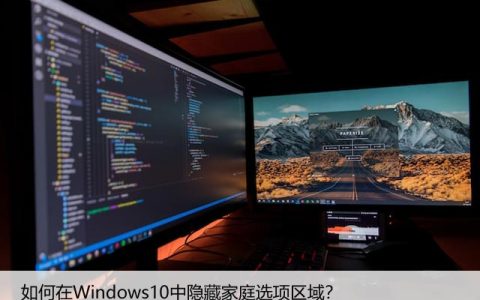 如何在Windows10中隐藏家庭选项区域？