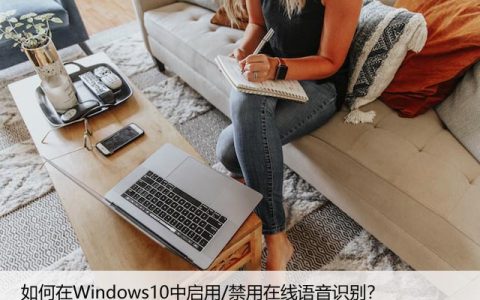 如何在Windows10中启用/禁用在线语音识别？