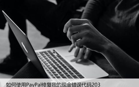 如何使用PayPal修复我的现金错误代码203