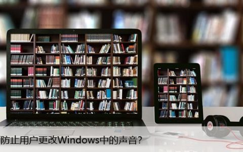 如何防止用户更改Windows中的声音？