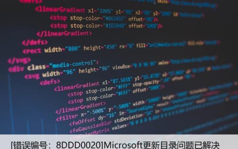 [错误编号：8DDD0020]Microsoft更新目录问题已解决