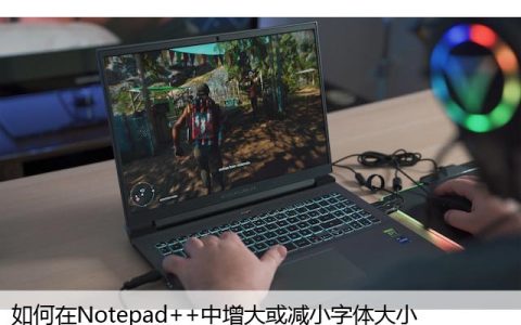 如何在Notepad++中增大或减小字体大小