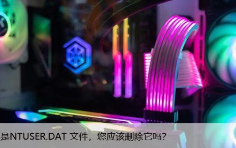 什么是NTUSER.DAT 文件，您应该删除它吗？