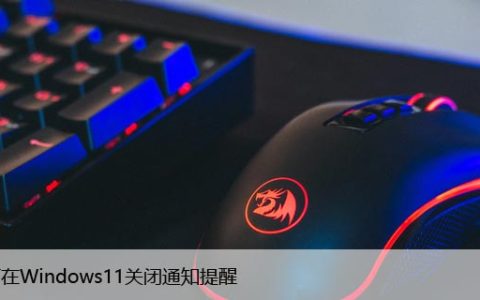 Windows11的通知提醒怎么关闭？这样设置就行