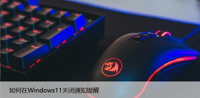 Windows11的通知提醒怎么关闭？这样设置就行