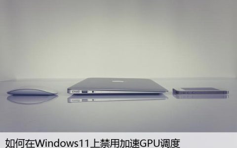 如何在Windows11上禁用加速GPU调度