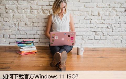 如何下载官方Windows 11 ISO？教您一步到位！