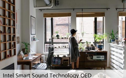 如何修复“Intel Smart Sound Technology OED”未正确启动