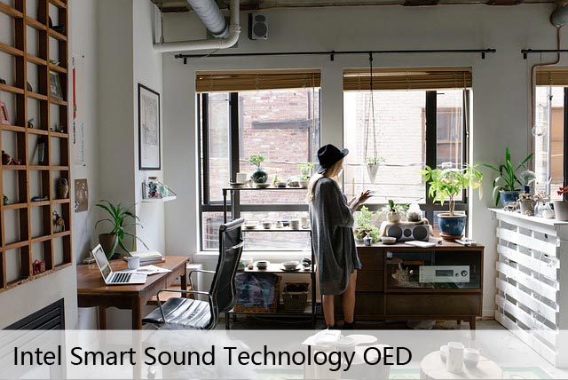 如何修复“Intel Smart Sound Technology OED”未正确启动