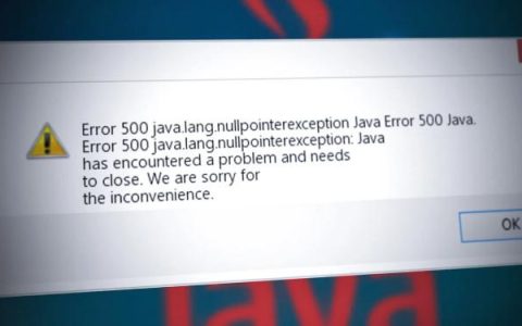 如何修复“错误 500：Java.Lang.NullPointerException”