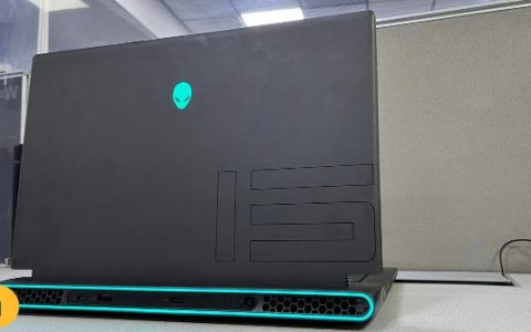 如何在Windows11上显示所有托盘图标？
