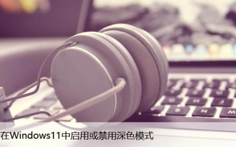 如何在Windows11中启用或禁用深色模式