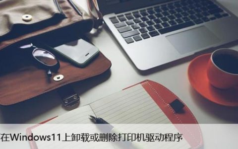 如何在Windows11上卸载或删除打印机驱动程序