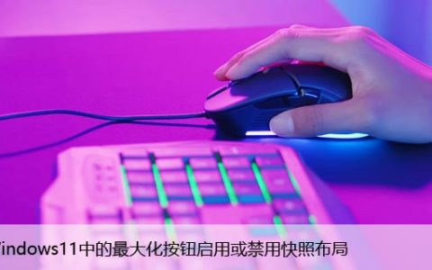 为Windows11中的最大化按钮启用或禁用快照布局