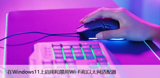 在Windows11上启用和禁用Wi-Fi和以太网适配器