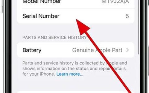 如何在苹果iPhone14上查看序列号，60秒了解