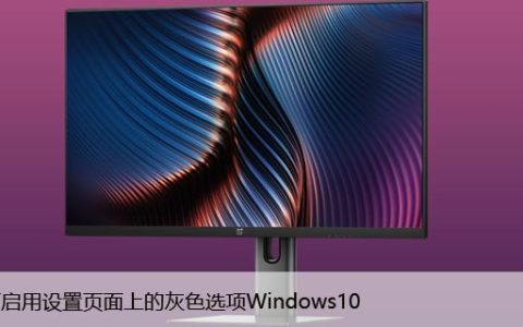 如何启用设置页面上的灰色选项Windows10