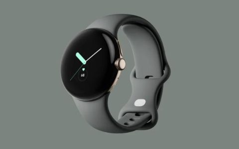 如何重置您的Google Pixel Watch，步骤详解