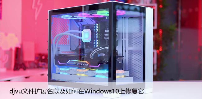 什么是 .djvu文件扩展名以及如何在Windows10上修复它