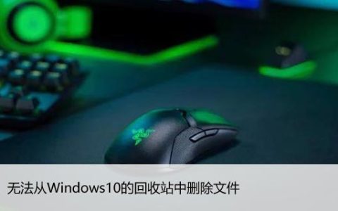 修复：无法从Windows10的回收站中删除文件
