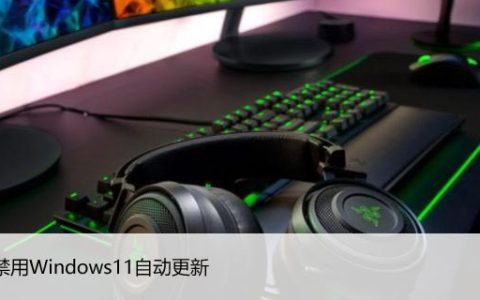 如何禁止Windows11自动更新，操控系统由你掌控！