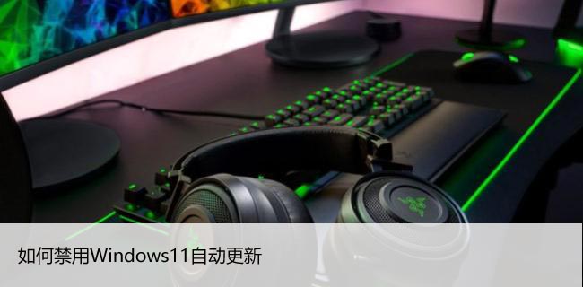 如何禁止Windows11自动更新，操控系统由你掌控！