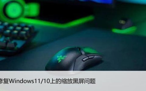 如何修复Windows11/10上的缩放黑屏问题，看这里就行！