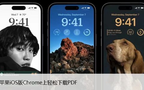 如何在苹果iOS版Chrome上轻松下载PDF