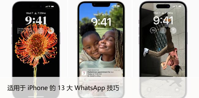 适用于 iPhone 的 13 大 WhatsApp 技巧