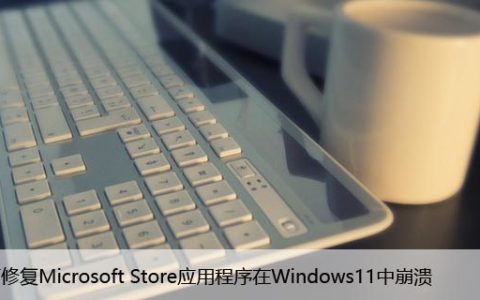 如何修复Microsoft Store应用程序在Windows11中崩溃