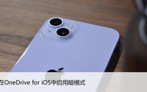 如何在OneDrive for iOS中启用暗模式（和其他提示）