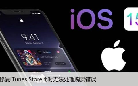 如何修复iTunes Store此时无法处理购买错误