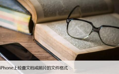 如何在iPhone上检查文档或照片的文件格式