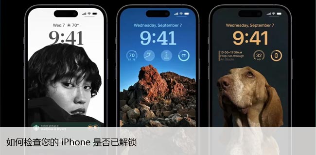 如何检查您的iPhone是否已解锁，确认苹果解锁状态